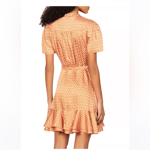 Suzen Asymmetric Ruffle Mini Dress - Picture 4 of 5